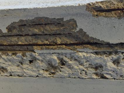 Bigues deteriorades